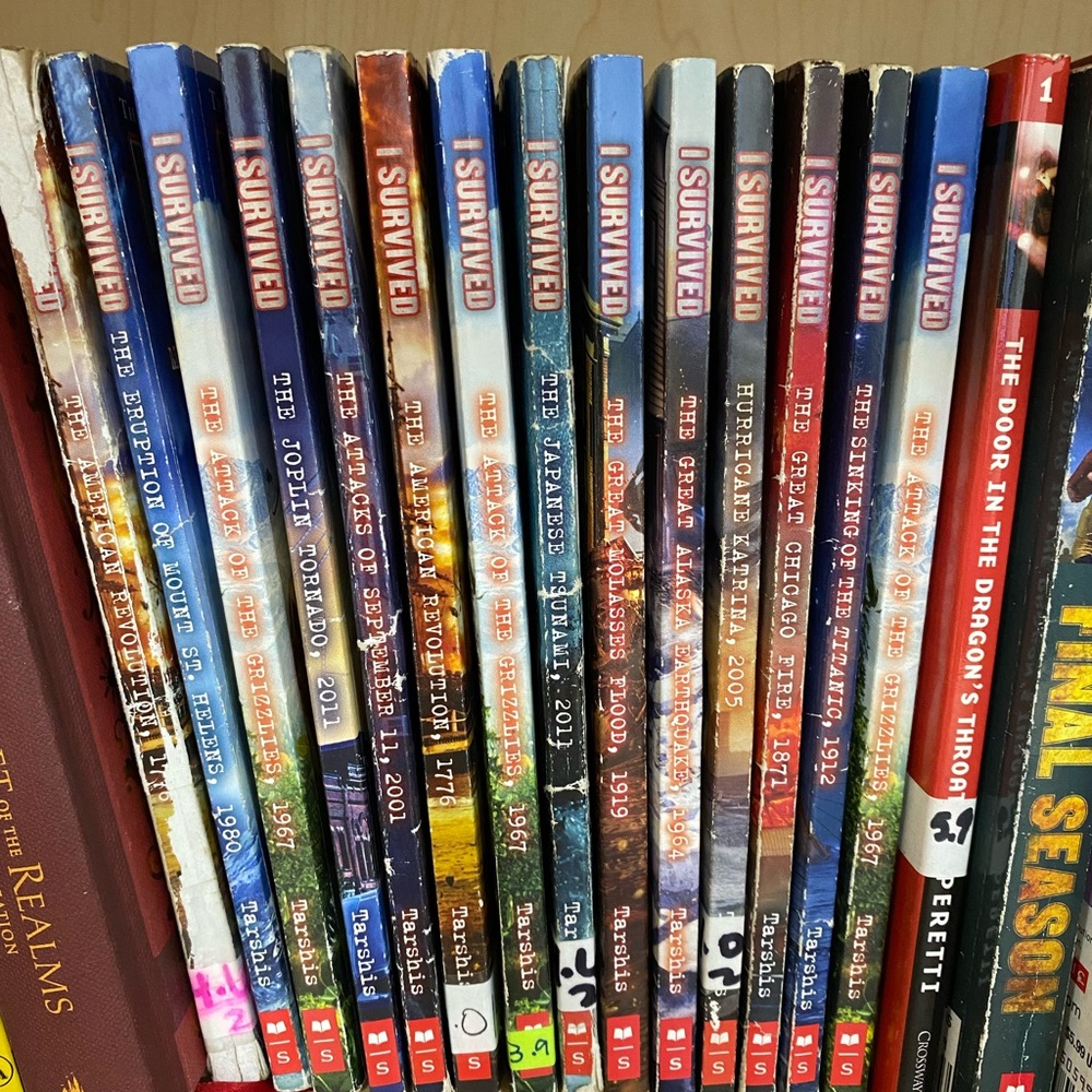 I Survived Book Series for Kids